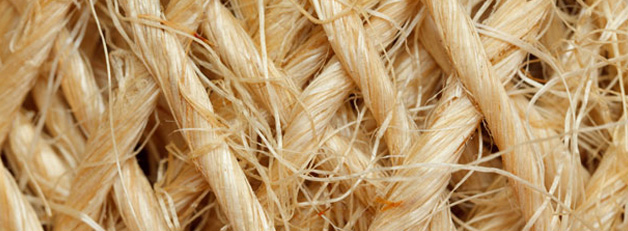 SISAL-B