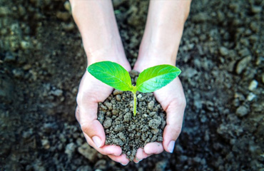 Sustainability