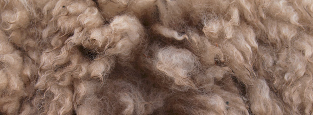 Wool-B